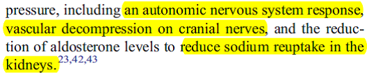 Chiro 20Theories